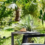 Les Erables Restaurant Linea Bed & Breakfast