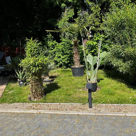 Les Erables Restaurant Linea Nocleg ze śniadaniem Spa